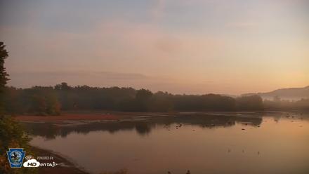 Pennsylvania Snow Geese Live Webcam - Oct 2, 2026, 6:47am EDT