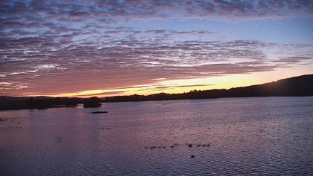 Pennsylvania Snow Geese Live Webcam - Oct 7, 2025, 6:39am EDT