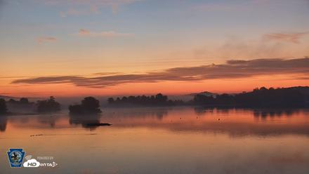 Pennsylvania Snow Geese Live Webcam - Oct 2, 2026, 6:31am EDT