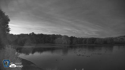 Pennsylvania Snow Geese Live Webcam - Sep 24, 2026, 7:37pm EDT