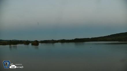 Pennsylvania Snow Geese Live Webcam - Aug 29, 2026, 7:49pm EDT