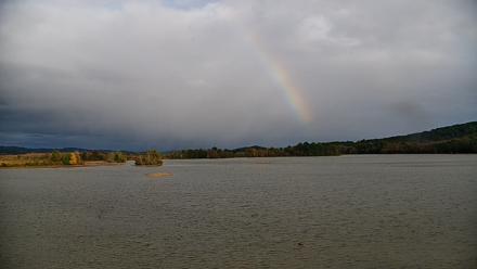 Pennsylvania Snow Geese Live Webcam - Oct 12, 2025, 5:12pm EDT