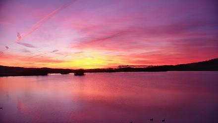 Pennsylvania Snow Geese Live Webcam - Mar 18, 2026, 7:00am EDT