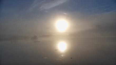 Pennsylvania Snow Geese Live Webcam - Oct 3, 2025, 7:37am EDT