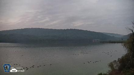 Pennsylvania Snow Geese Live Webcam - Oct 1, 2026, 6:45am EDT