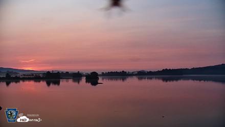 Pennsylvania Snow Geese Live Webcam - Aug 10, 2026, 6:17am EDT