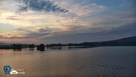 Pennsylvania Snow Geese Live Webcam - Jul 11, 2026, 5:49am EDT