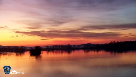 Pennsylvania Snow Geese Live Webcam - Apr 14, 2026, 6:04am EDT