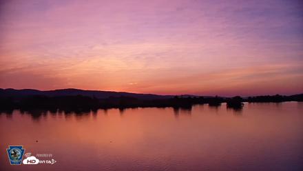 Pennsylvania Snow Geese Live Webcam - May 17, 2026, 5:39am EDT