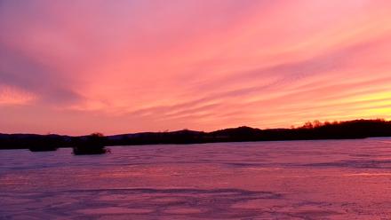 Pennsylvania Snow Geese Live Webcam - Jan 24, 2026, 7:14am EST