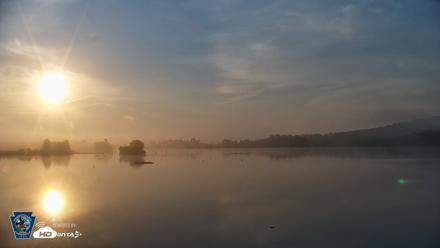 Pennsylvania Snow Geese Live Webcam - Aug 9, 2026, 6:55am EDT
