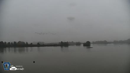 Pennsylvania Snow Geese Live Webcam - Oct 16, 2026, 8:34am EDT