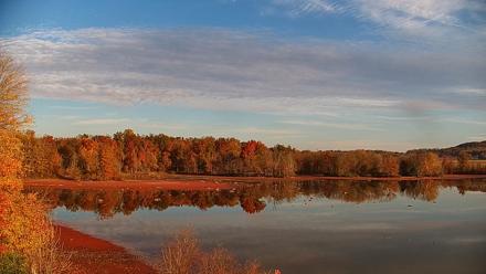 Pennsylvania Snow Geese Live Webcam - Nov 2, 2025, 7:56am EST