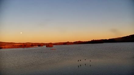 Pennsylvania Snow Geese Live Webcam - Nov 4, 2025, 4:43pm EST