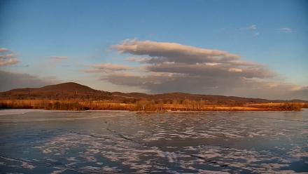 Pennsylvania Snow Geese Live Webcam - Jan 2, 2026, 4:02pm EST