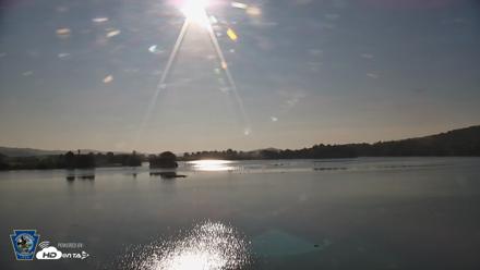 Pennsylvania Snow Geese Live Webcam - Aug 21, 2026, 8:08am EDT