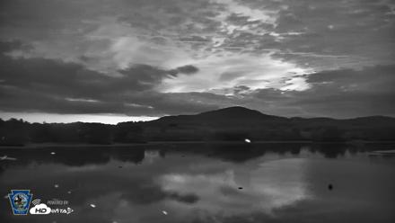 Pennsylvania Snow Geese Live Webcam - Sep 10, 2026, 6:15am EDT