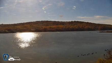 Pennsylvania Snow Geese Live Webcam - Oct 31, 2026, 10:45am EDT