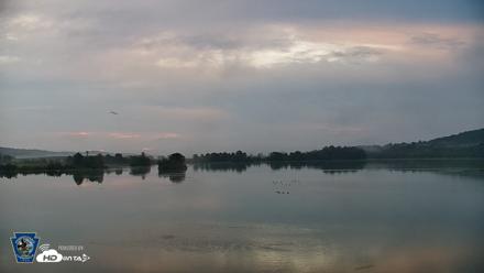 Pennsylvania Snow Geese Live Webcam - Aug 28, 2026, 6:34am EDT