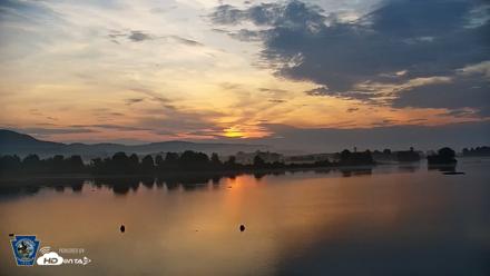 Pennsylvania Snow Geese Live Webcam - Jul 5, 2026, 5:56am EDT