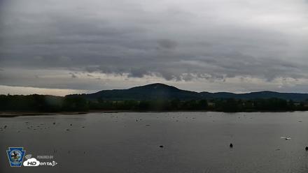 Pennsylvania Snow Geese Live Webcam - Sep 26, 2026, 4:58pm EDT