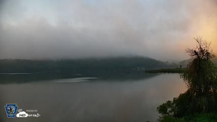 Pennsylvania Snow Geese Live Webcam - Aug 6, 2026, 6:51am EDT