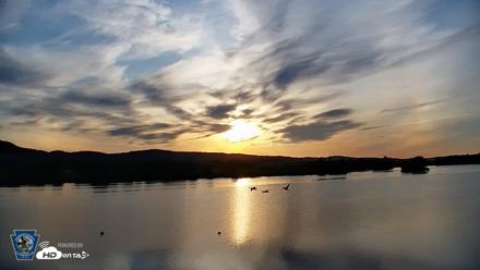Pennsylvania Snow Geese Live Webcam - Jun 3, 2026, 6:12am EDT