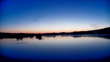 Pennsylvania Snow Geese Live Webcam - Oct 21, 2025, 7:02am EDT