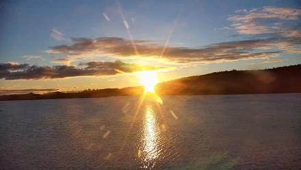 Pennsylvania Snow Geese Live Webcam - Nov 17, 2025, 7:08am EST