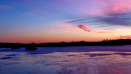 Pennsylvania Snow Geese Live Webcam - Dec 20, 2025, 7:11am EST