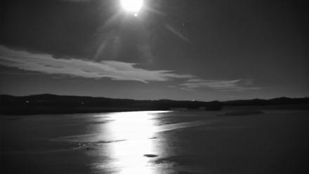 Pennsylvania Snow Geese Live Webcam - Dec 4, 2025, 6:09pm EST