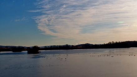 Pennsylvania Snow Geese Live Webcam - Dec 12, 2025, 8:59am EST