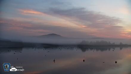 Pennsylvania Snow Geese Live Webcam - Aug 9, 2026, 6:10am EDT