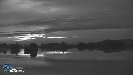 Pennsylvania Snow Geese Live Webcam - Aug 28, 2026, 5:57am EDT