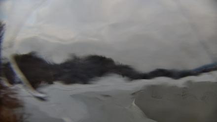 Pennsylvania Snow Geese Live Webcam - Dec 27, 2025, 8:50am EST