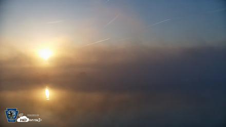 Pennsylvania Snow Geese Live Webcam - Apr 23, 2026, 6:43am EDT