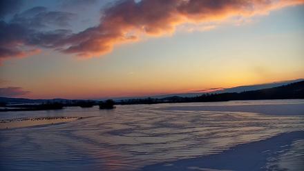 Pennsylvania Snow Geese Live Webcam - Feb 4, 2026, 7:18am EST