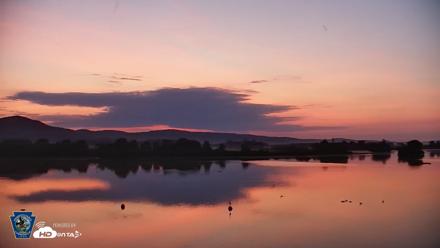 Pennsylvania Snow Geese Live Webcam - Jul 13, 2026, 5:27am EDT