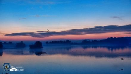 Pennsylvania Snow Geese Live Webcam - Oct 2, 2026, 6:34am EDT