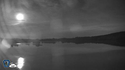 Pennsylvania Snow Geese Live Webcam - Aug 5, 2026, 12:04am EDT