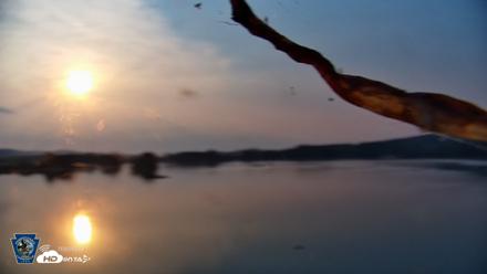 Pennsylvania Snow Geese Live Webcam - Aug 14, 2026, 7:06am EDT