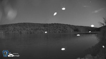 Pennsylvania Snow Geese Live Webcam - Aug 29, 2026, 8:18pm EDT
