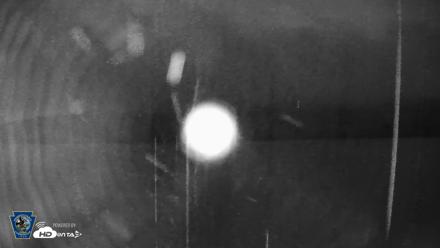 Pennsylvania Snow Geese Live Webcam - Sep 3, 2026, 5:51am EDT