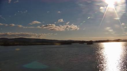 Pennsylvania Snow Geese Live Webcam - Apr 7, 2026, 8:20am EDT