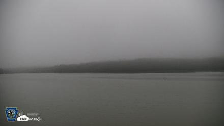 Pennsylvania Snow Geese Live Webcam - Sep 2, 2026, 6:24am EDT