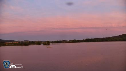 Pennsylvania Snow Geese Live Webcam - Sep 25, 2026, 7:04pm EDT