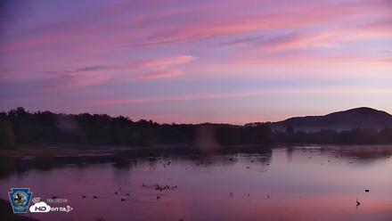 Pennsylvania Snow Geese Live Webcam - Sep 12, 2026, 6:32am EDT