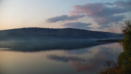 Pennsylvania Snow Geese Live Webcam - Nov 8, 2025, 6:56am EST