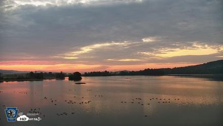 Pennsylvania Snow Geese Live Webcam - Aug 20, 2026, 6:14am EDT