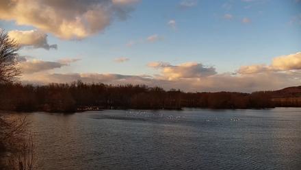 Pennsylvania Snow Geese Live Webcam - Mar 12, 2026, 6:31pm EDT
